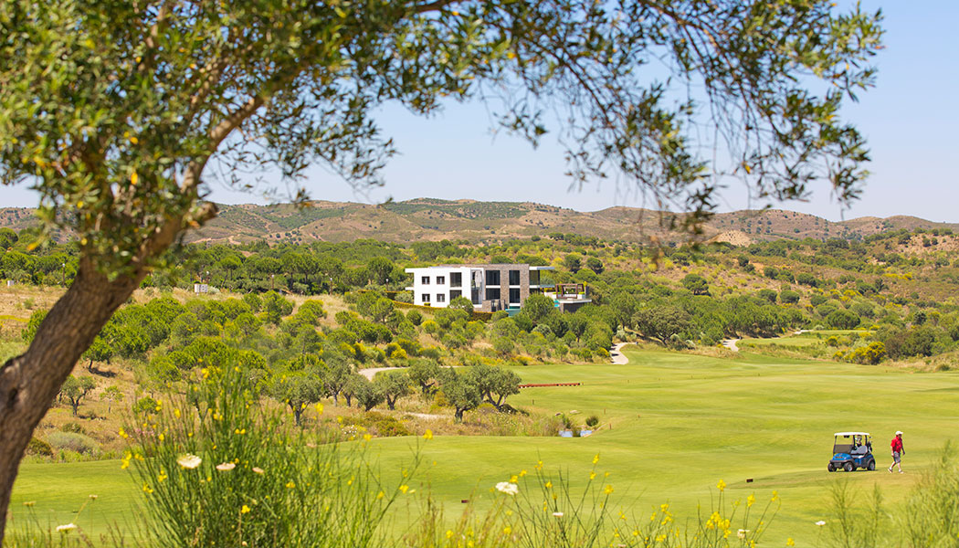Lotes no Campo Norte